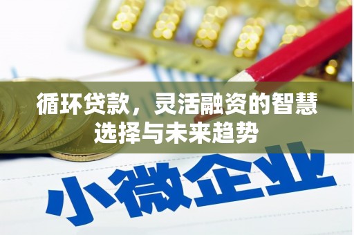 邓州循环贷款，灵活融资的智慧选择与未来趋势