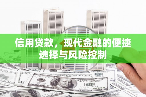 邓州信用贷款，现代金融的便捷选择与风险控制