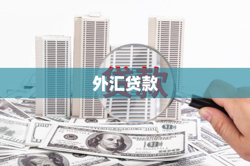 邓州外汇贷款