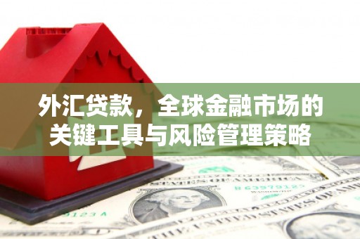 邓州外汇贷款，全球金融市场的关键工具与风险管理策略
