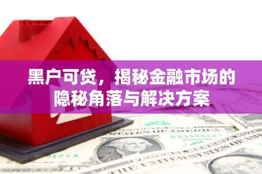 邓州黑户可贷，揭秘金融市场的隐秘角落与解决方案