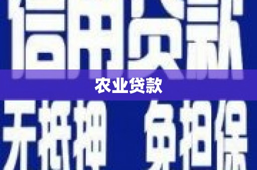 邓州农业贷款