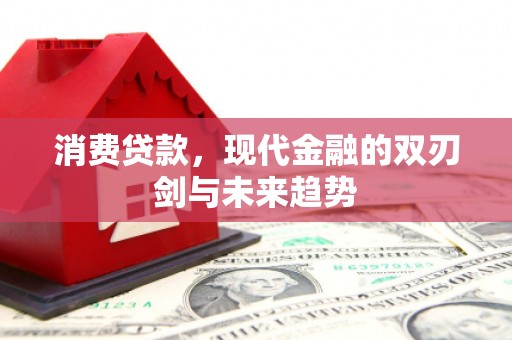 邓州消费贷款，现代金融的双刃剑与未来趋势