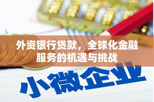 邓州外资银行贷款，全球化金融服务的机遇与挑战