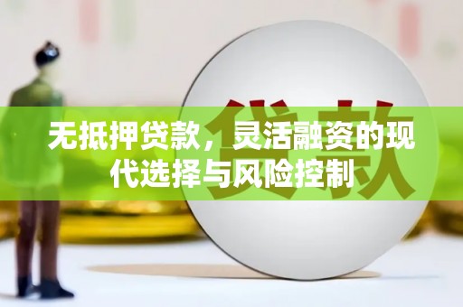 邓州无抵押贷款，灵活融资的现代选择与风险控制