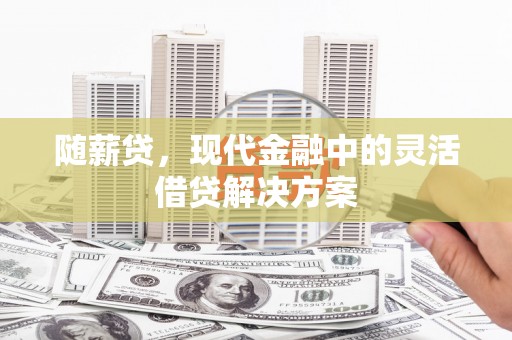 邓州随薪贷，现代金融中的灵活借贷解决方案