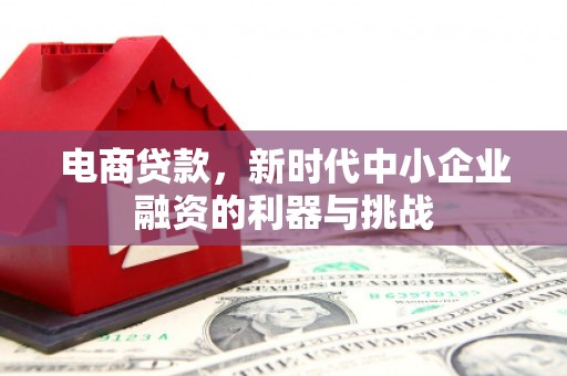 邓州电商贷款，新时代中小企业融资的利器与挑战