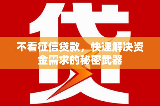 邓州不看征信贷款，快速解决资金需求的秘密武器