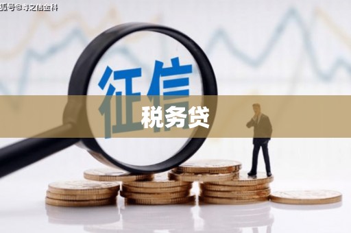 邓州税务贷