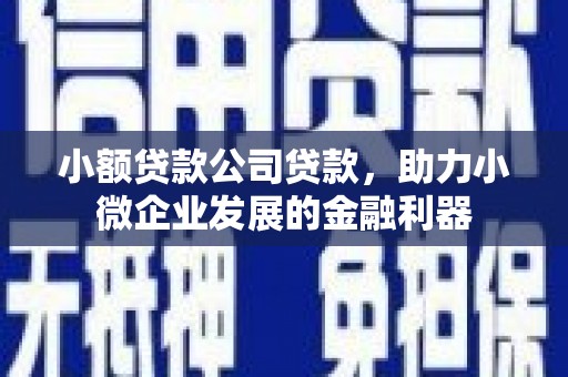 邓州小额贷款公司贷款，助力小微企业发展的金融利器
