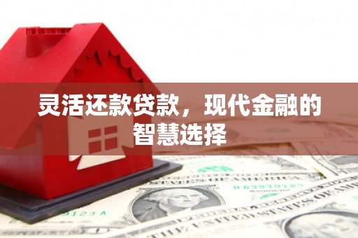 邓州灵活还款贷款，现代金融的智慧选择