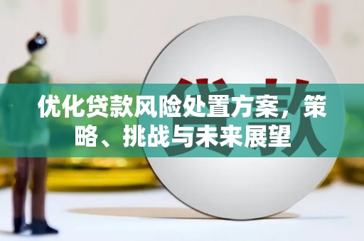 邓州优化贷款风险处置方案，策略、挑战与未来展望