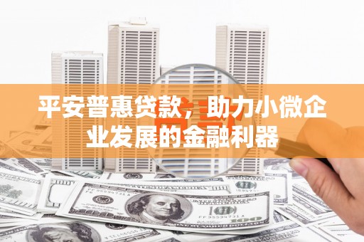 邓州平安普惠贷款，助力小微企业发展的金融利器