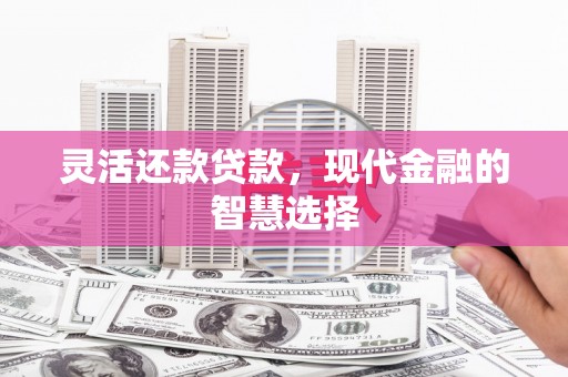 邓州灵活还款贷款，现代金融的智慧选择