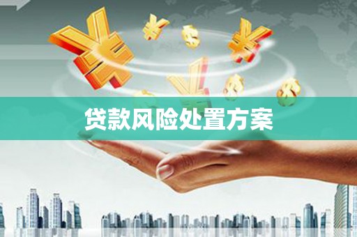 邓州贷款风险处置方案