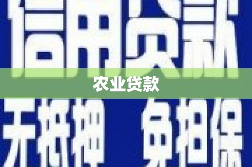 邓州农业贷款
