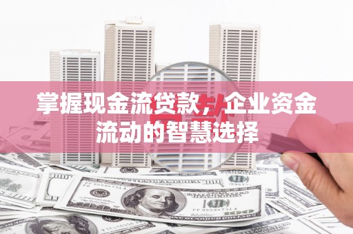 邓州掌握现金流贷款，企业资金流动的智慧选择