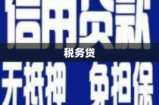 邓州税务贷