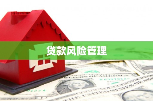 邓州贷款风险管理
