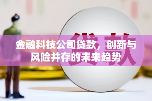 邓州金融科技公司贷款，创新与风险并存的未来趋势