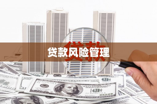 邓州贷款风险管理