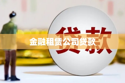 邓州金融租赁公司贷款