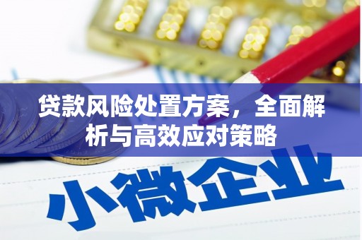 邓州贷款风险处置方案，全面解析与高效应对策略