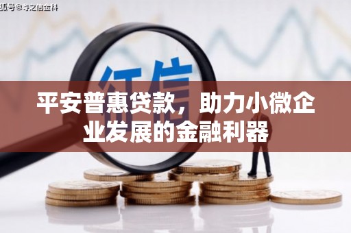 邓州平安普惠贷款，助力小微企业发展的金融利器