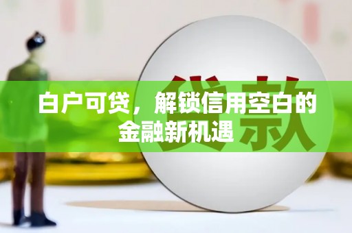 邓州白户可贷，解锁信用空白的金融新机遇