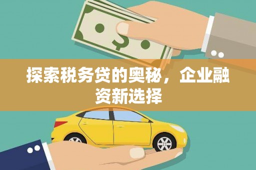 邓州探索税务贷的奥秘，企业融资新选择