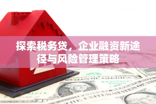 邓州探索税务贷，企业融资新途径与风险管理策略