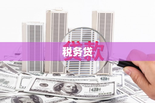 邓州税务贷