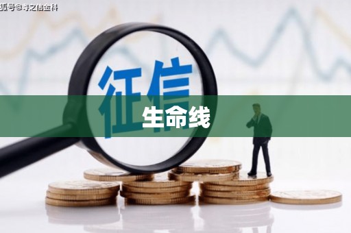 邓州生命线