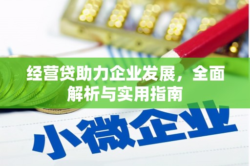 邓州经营贷助力企业发展，全面解析与实用指南