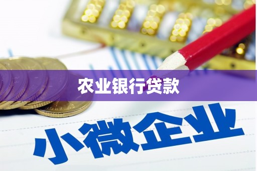 邓州农业银行贷款