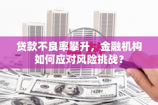 邓州贷款不良率攀升，金融机构如何应对风险挑战？