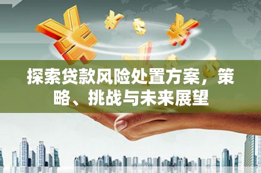 邓州探索贷款风险处置方案，策略、挑战与未来展望