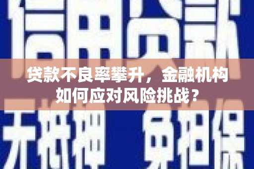 邓州贷款不良率攀升，金融机构如何应对风险挑战？
