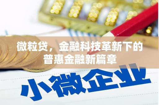 邓州微粒贷，金融科技革新下的普惠金融新篇章