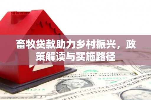 邓州畜牧贷款助力乡村振兴，政策解读与实施路径
