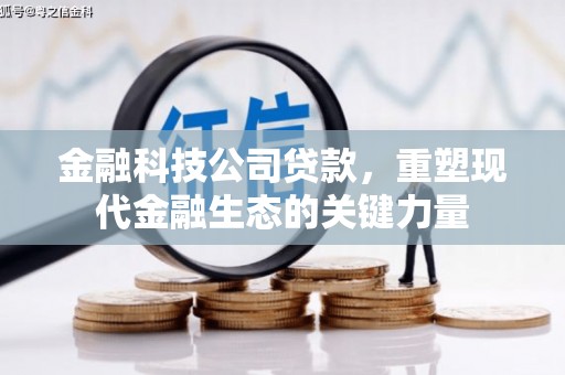邓州金融科技公司贷款，重塑现代金融生态的关键力量