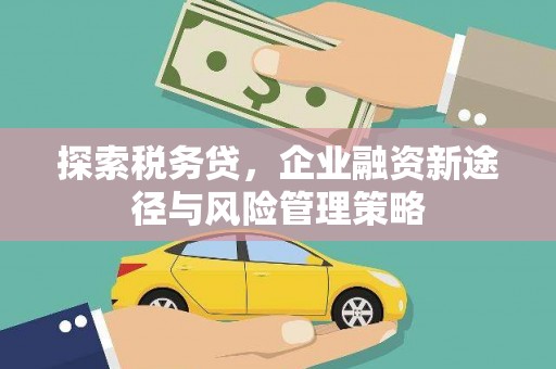 邓州探索税务贷，企业融资新途径与风险管理策略