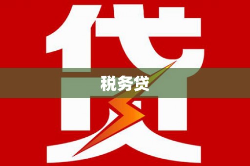 邓州税务贷