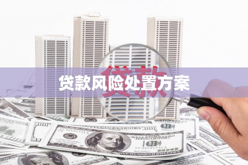 邓州贷款风险处置方案