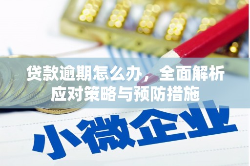 邓州贷款逾期怎么办，全面解析应对策略与预防措施