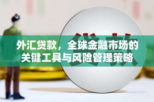 邓州外汇贷款，全球金融市场的关键工具与风险管理策略