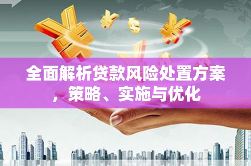 邓州全面解析贷款风险处置方案，策略、实施与优化