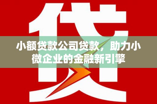 邓州小额贷款公司贷款，助力小微企业的金融新引擎