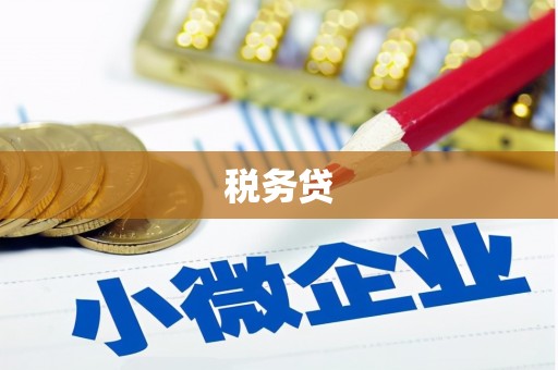 邓州税务贷