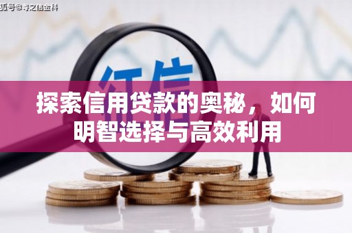 邓州探索信用贷款的奥秘，如何明智选择与高效利用